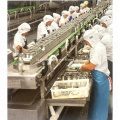Jalur pemrosesan fillet sarden kaleng otomatis ISO ISO